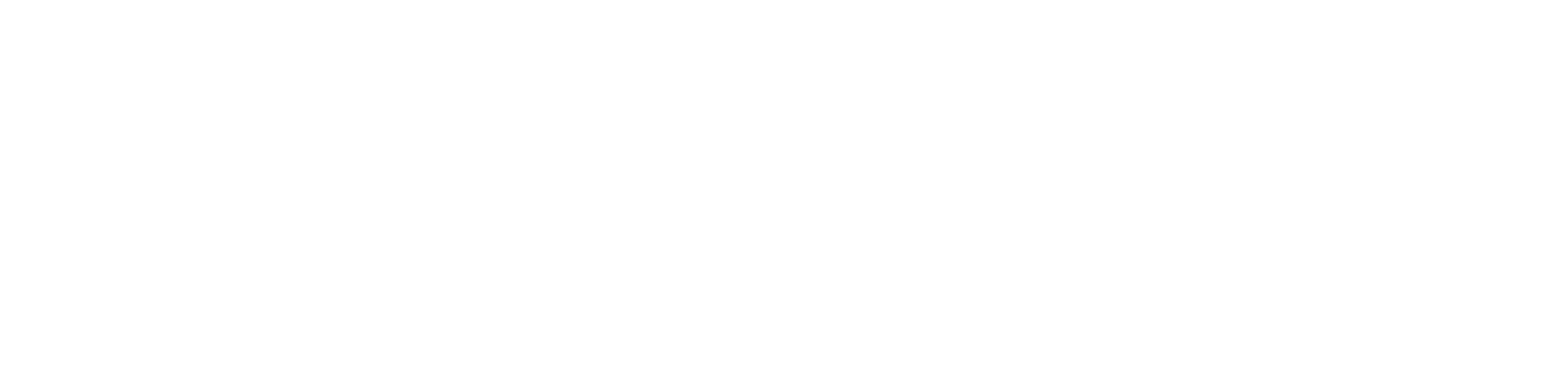 logo-alb-dsf